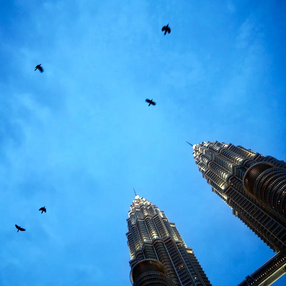 crow-twin-tower-sky-view-concept copy